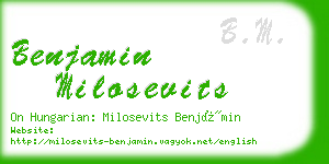 benjamin milosevits business card